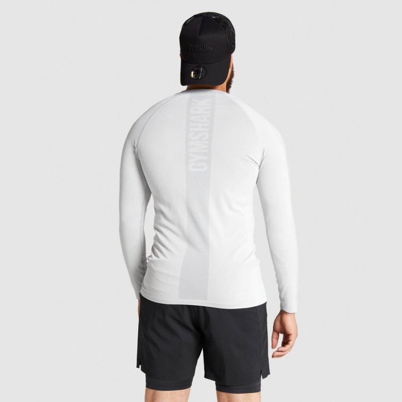 Camiseta Gymshark Aspect Ligeros Seamless Long Sleeve Gris Claro | 17GWLXPFZ