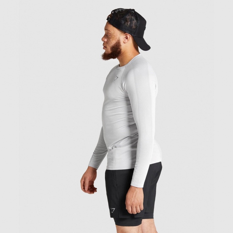 Camiseta Gymshark Aspect Ligeros Seamless Long Sleeve Gris Claro | 17GWLXPFZ