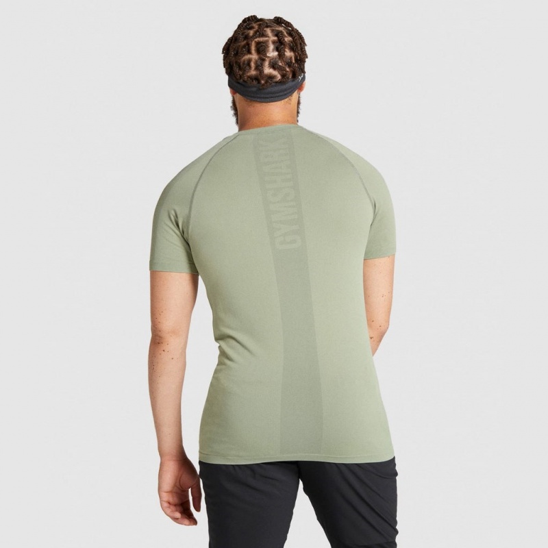 Camiseta Gymshark Aspect Ligeros Seamless Verde Claro | 59UZNVLDH