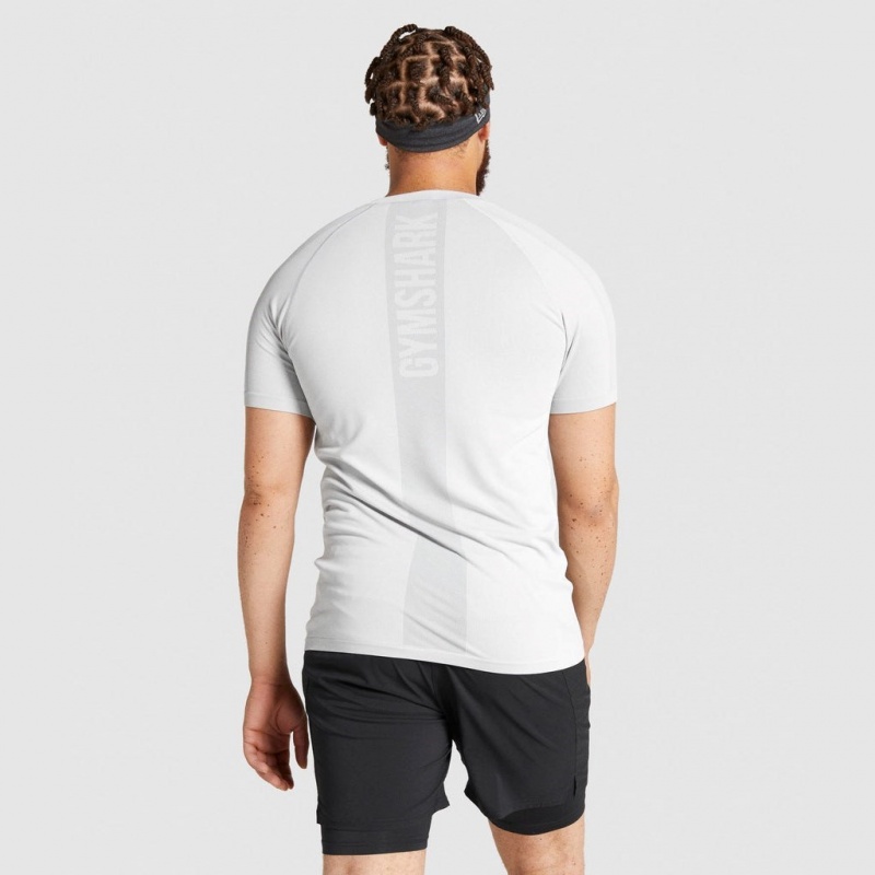 Camiseta Gymshark Aspect Ligeros Seamless Gris Claro | 89ZKBSVEJ