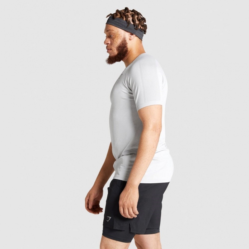 Camiseta Gymshark Aspect Ligeros Seamless Gris Claro | 89ZKBSVEJ