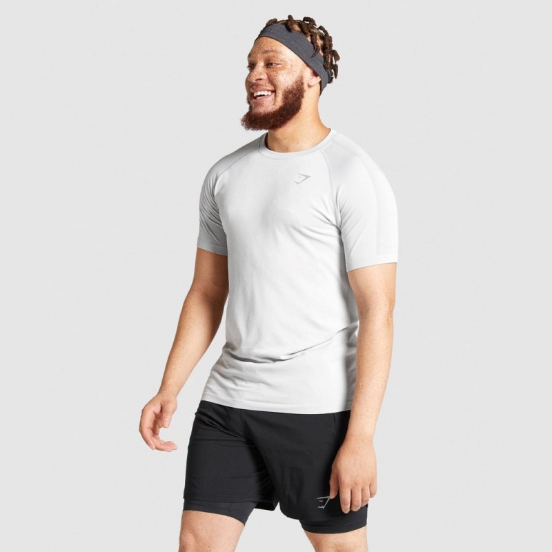 Camiseta Gymshark Aspect Ligeros Seamless Gris Claro | 89ZKBSVEJ