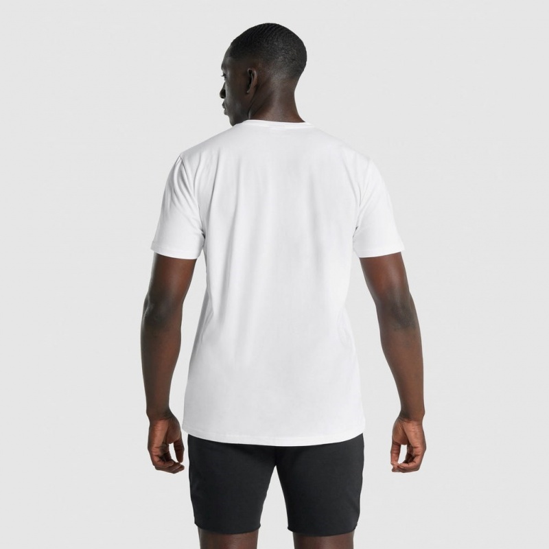 Camiseta Gymshark Block Infill Blancas | 54JWPTHEO