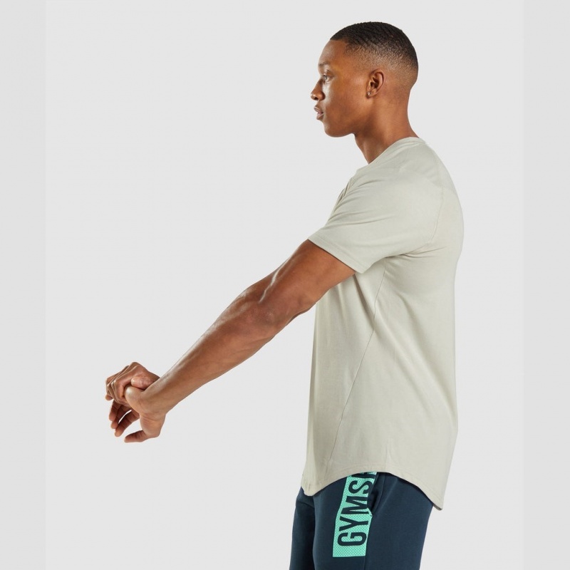 Camiseta Gymshark Bold Gris | 24XGBDSRO