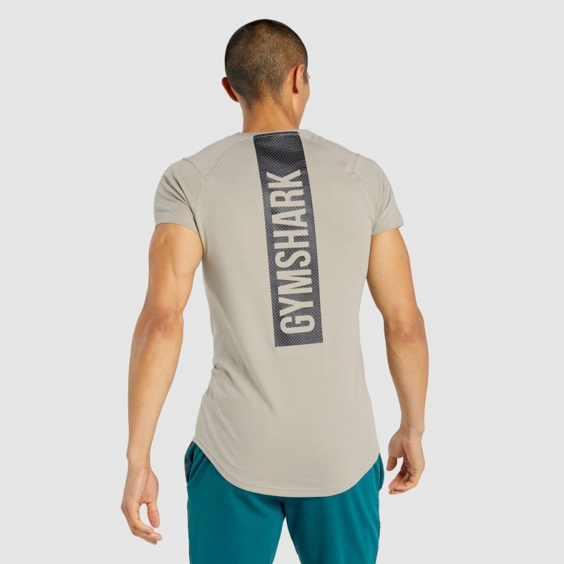Camiseta Gymshark Bold Gris | 38QGAXOFV