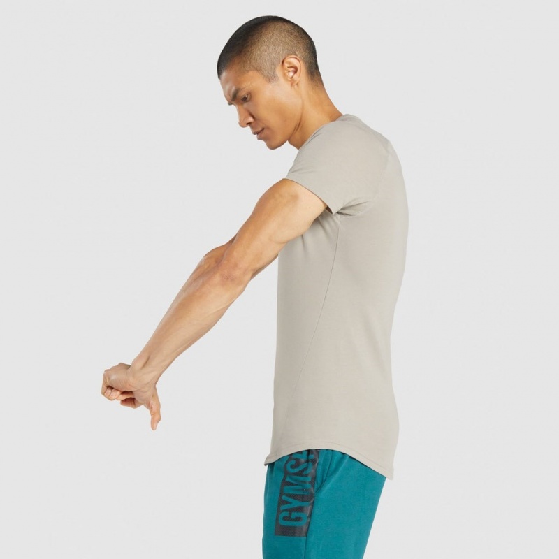 Camiseta Gymshark Bold Gris | 38QGAXOFV