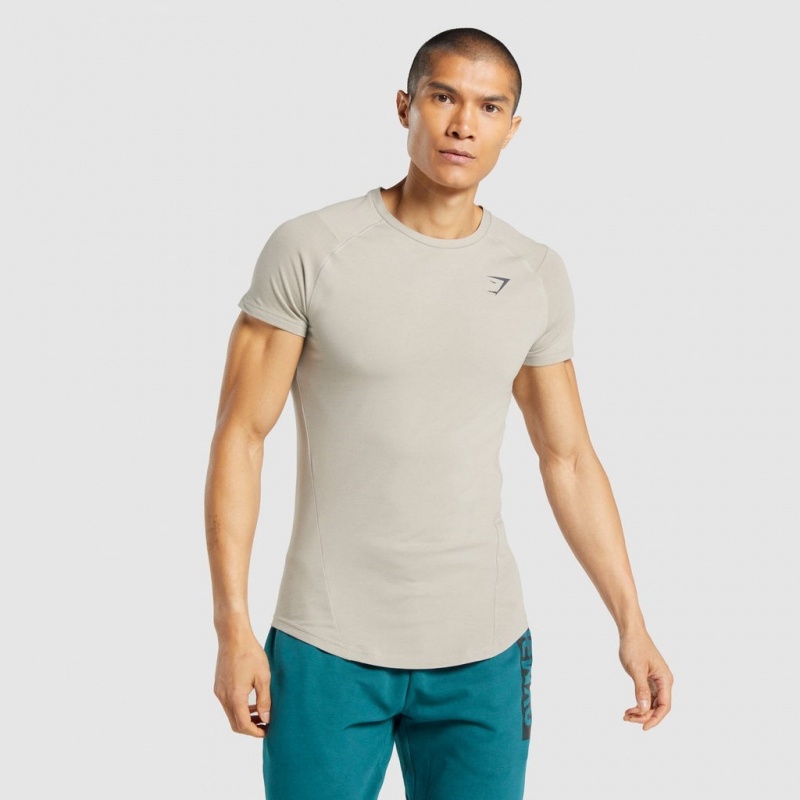 Camiseta Gymshark Bold Gris | 38QGAXOFV