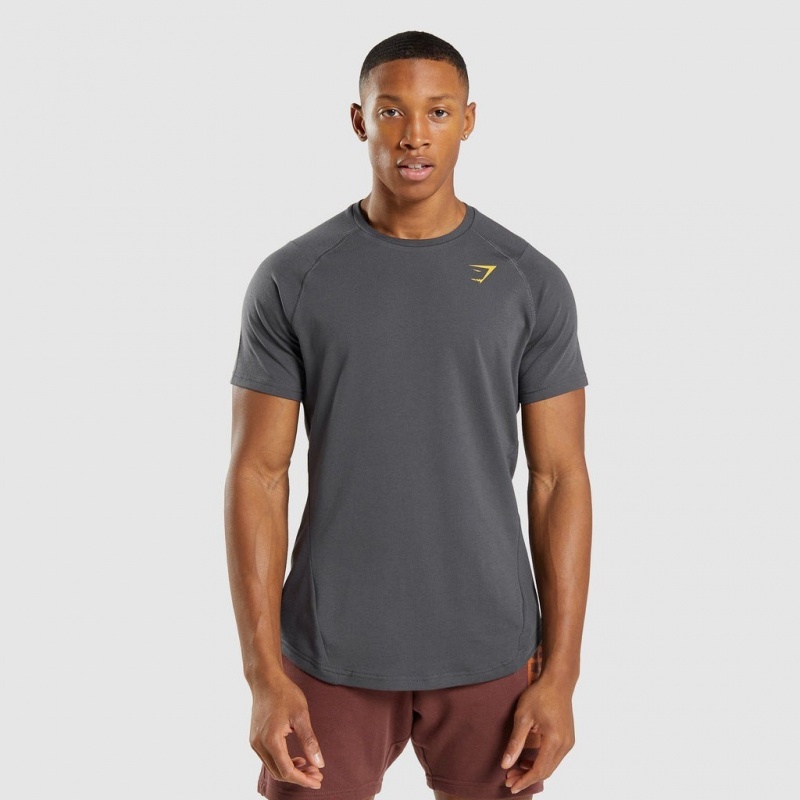 Camiseta Gymshark Bold Gris | 73RBKVHYM
