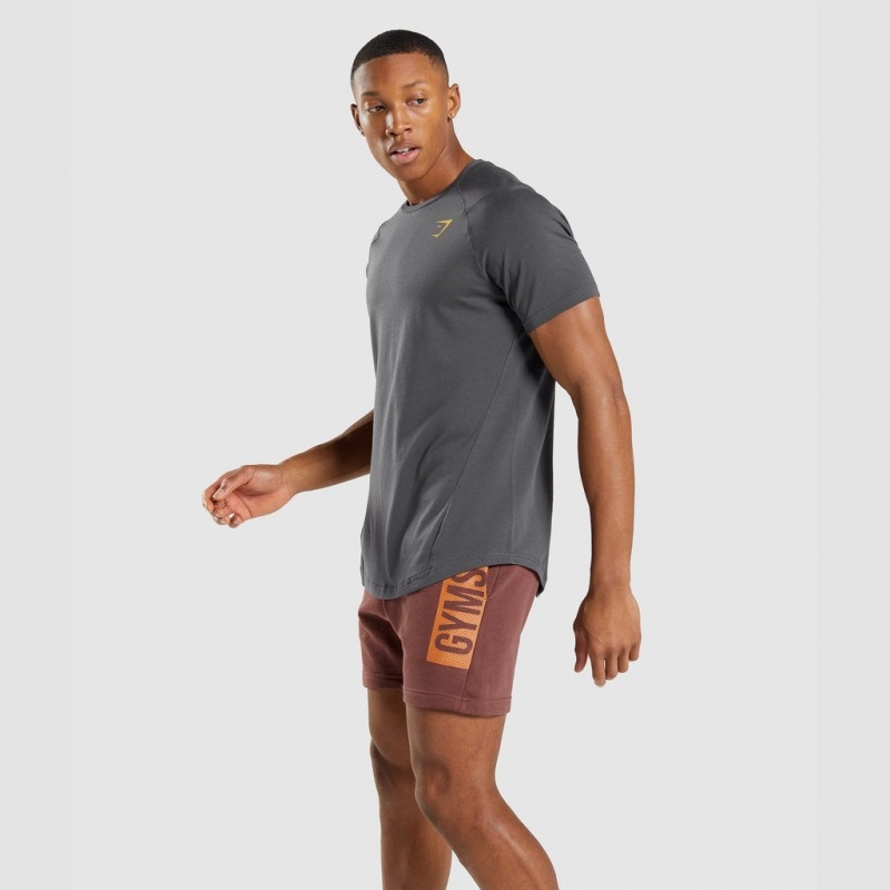 Camiseta Gymshark Bold Gris | 73RBKVHYM