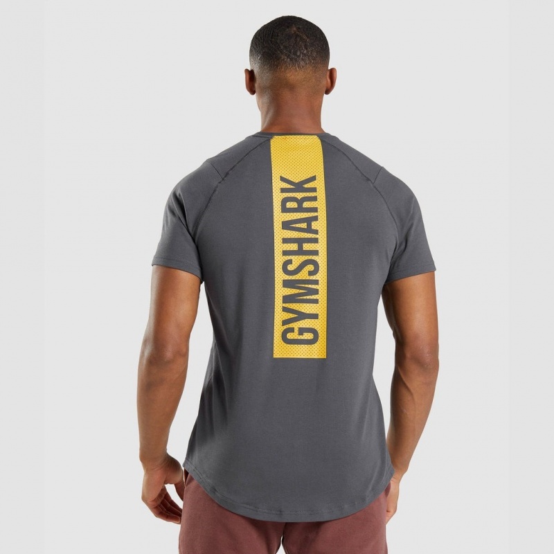 Camiseta Gymshark Bold Gris | 73RBKVHYM