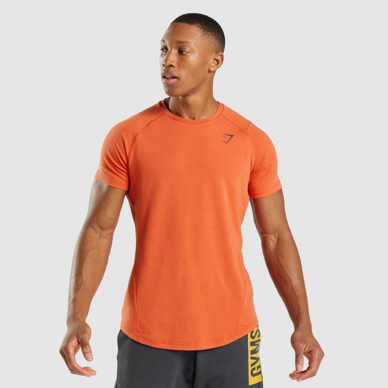 Camiseta Gymshark Bold Naranjas | 38EUONPGB