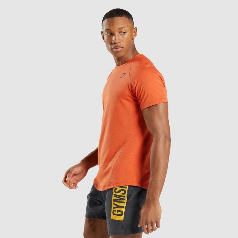 Camiseta Gymshark Bold Naranjas | 38EUONPGB