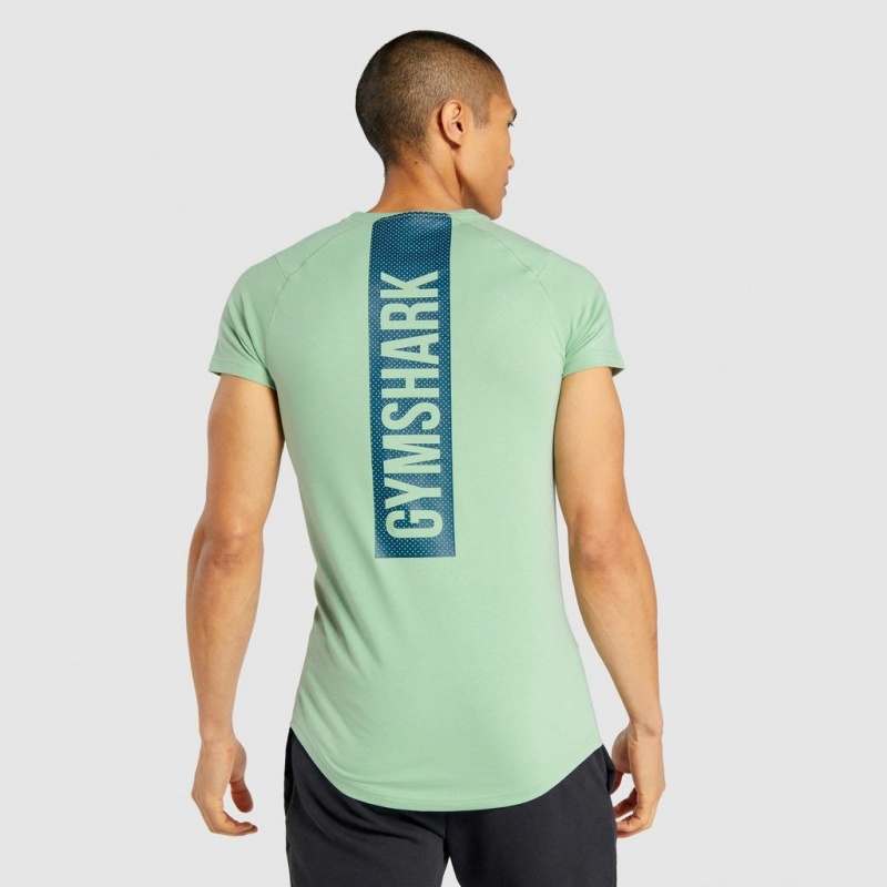 Camiseta Gymshark Bold Verde | 02KVWTLDE