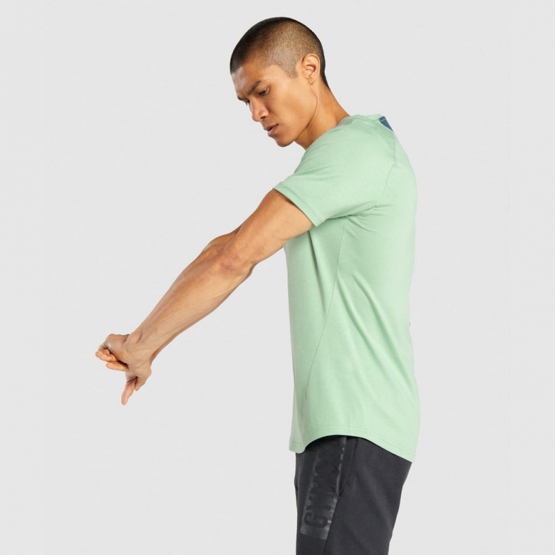 Camiseta Gymshark Bold Verde | 31GKPMWQL