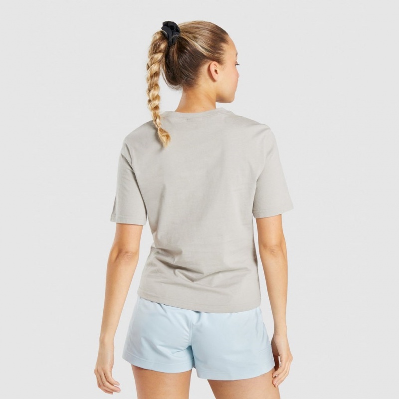 Camiseta Gymshark CTY Gris | 29KXOLHCI
