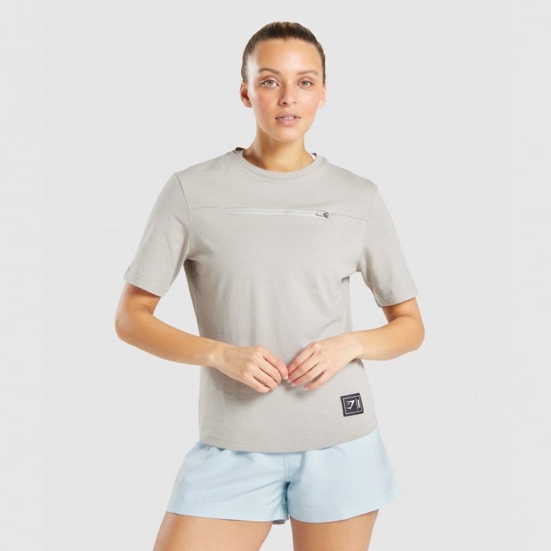 Camiseta Gymshark CTY Gris | 29KXOLHCI