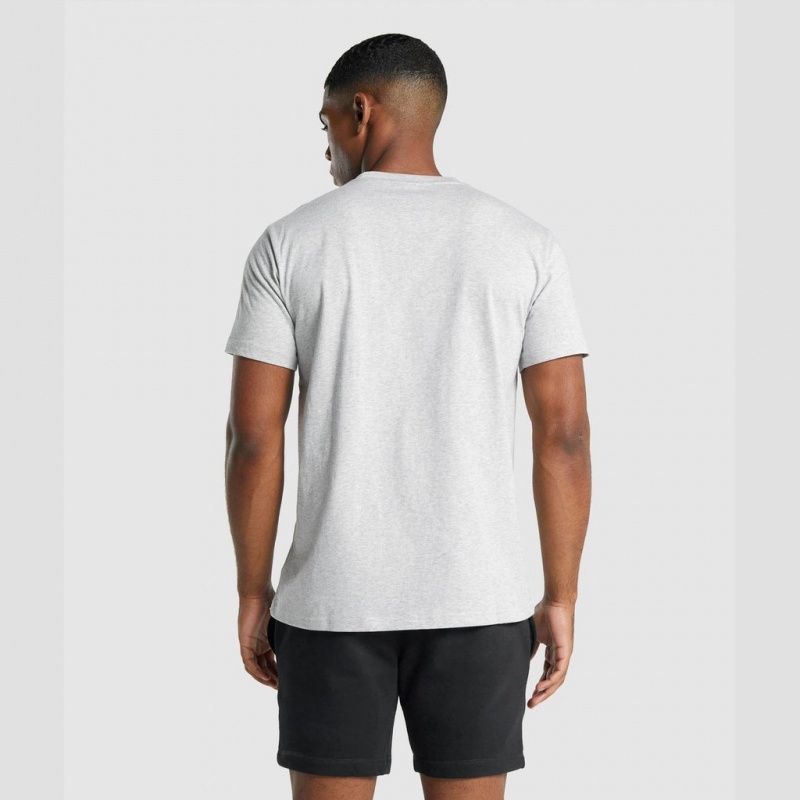 Camiseta Gymshark Crest Gris Claro | 58SLXYPNK