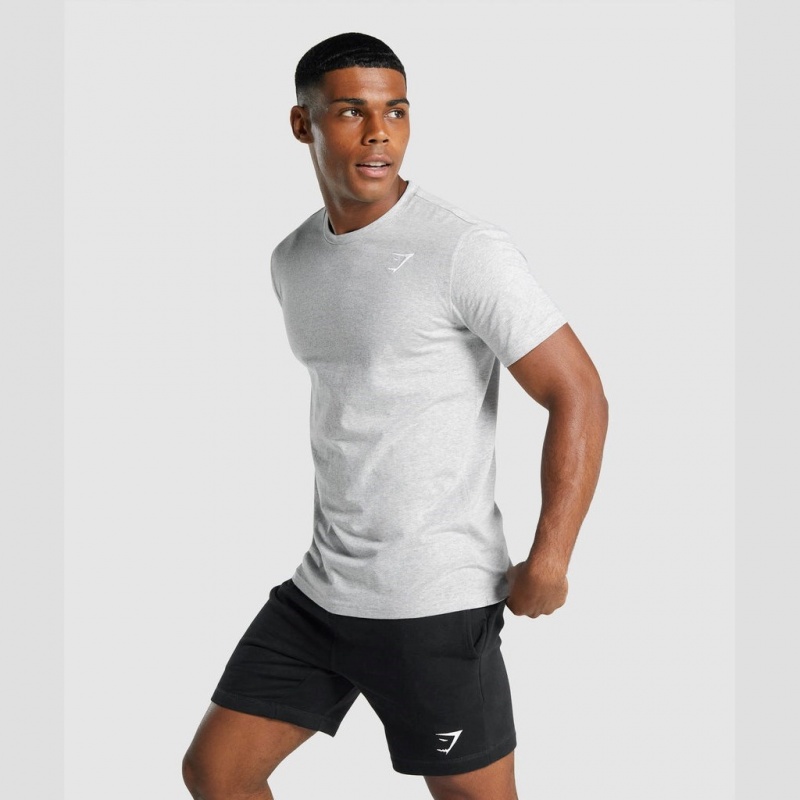 Camiseta Gymshark Crest Gris Claro | 58SLXYPNK