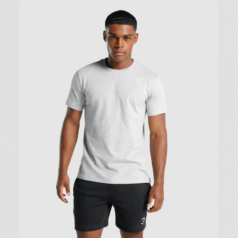 Camiseta Gymshark Crest Gris Claro | 58SLXYPNK