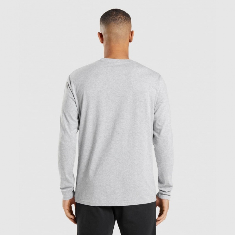 Camiseta Gymshark Crest Long Sleeve Gris Claro | 92QTKFNAJ