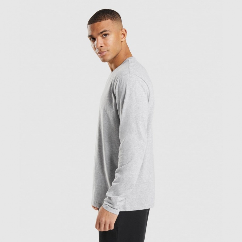 Camiseta Gymshark Crest Long Sleeve Gris Claro | 92QTKFNAJ