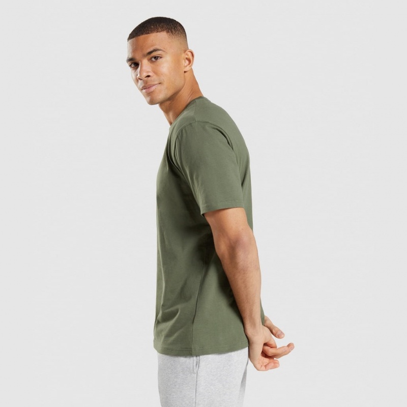 Camiseta Gymshark Crest Verde Oliva | 13ZQUMVEF