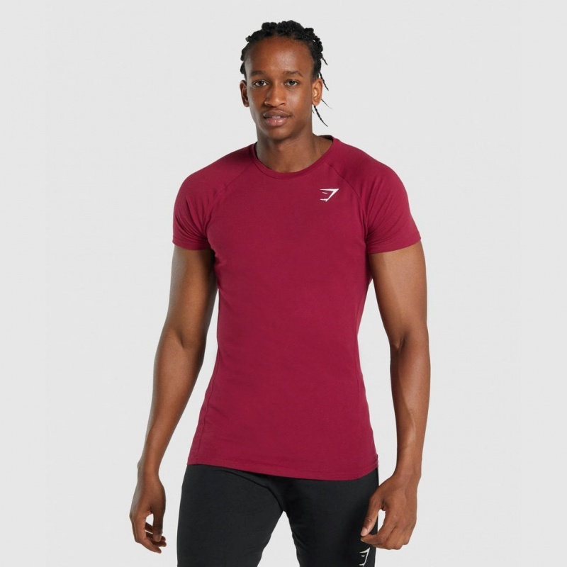 Camiseta Gymshark Critical 2.0 Burdeos | 25LCSVPFX