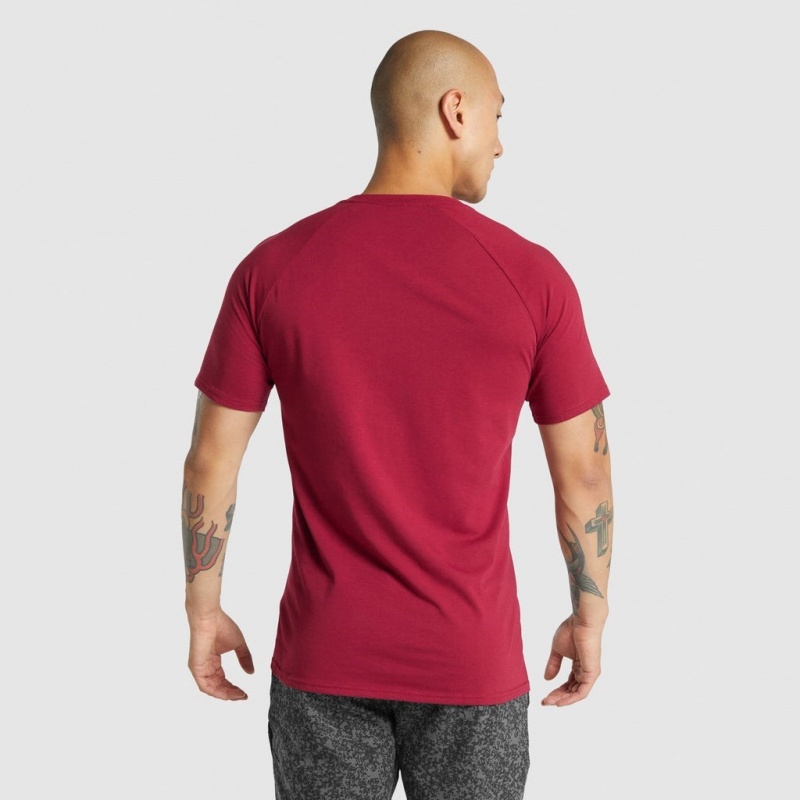 Camiseta Gymshark Critical 2.0 Burdeos | 64SDYEWIG