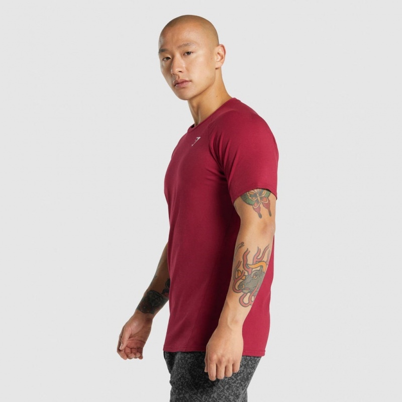 Camiseta Gymshark Critical 2.0 Burdeos | 64SDYEWIG
