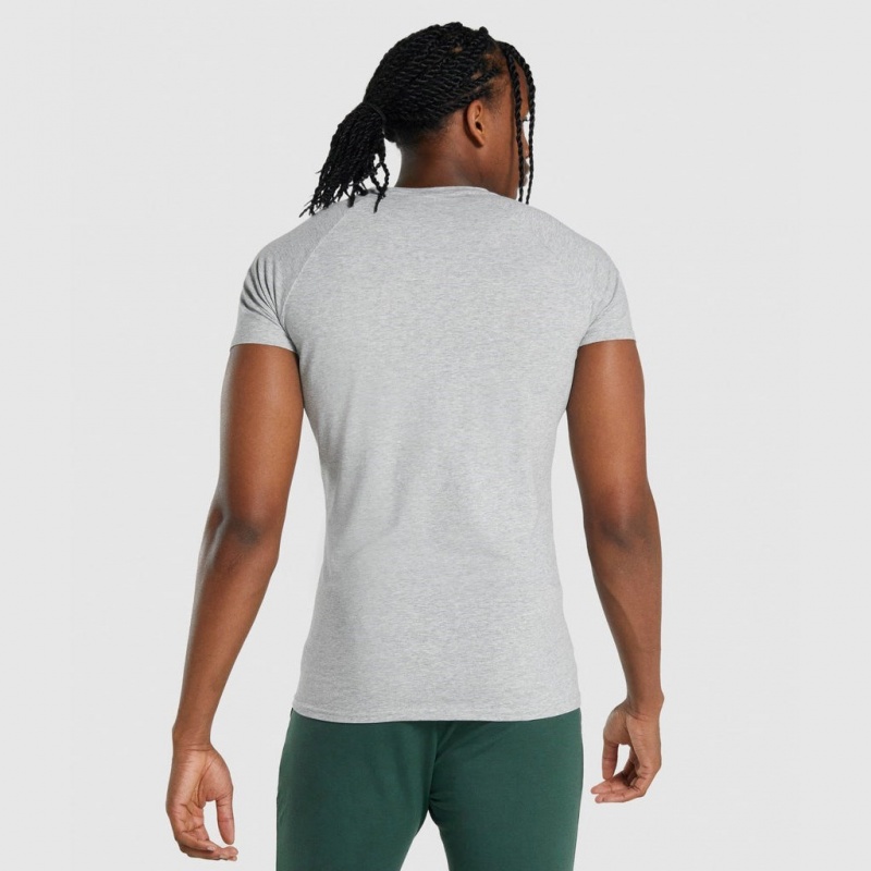Camiseta Gymshark Critical 2.0 Gris Claro | 38OPBKZMH