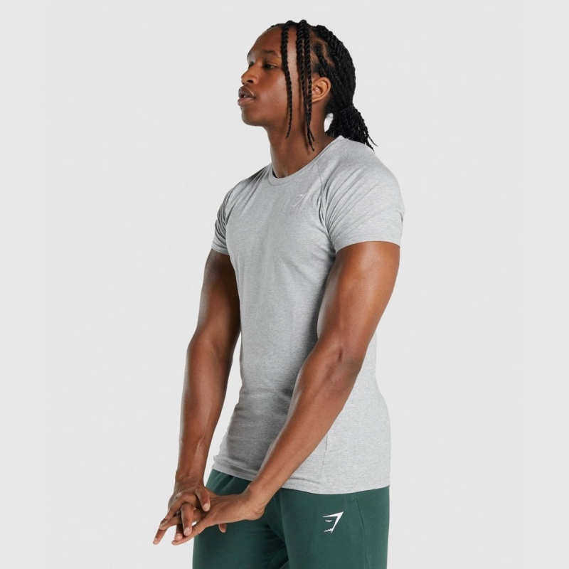 Camiseta Gymshark Critical 2.0 Gris Claro | 38OPBKZMH