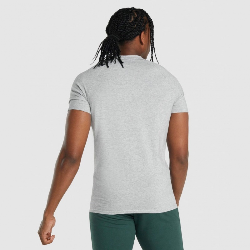 Camiseta Gymshark Critical 2.0 Gris Claro | 57DAZVLIY
