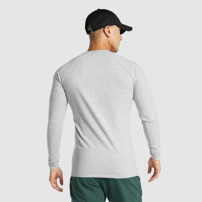 Camiseta Gymshark Critical 2.0 Long Sleeve Gris Claro | 75GTSHUZD