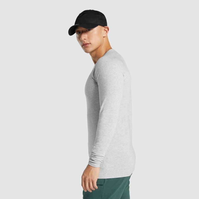 Camiseta Gymshark Critical 2.0 Long Sleeve Gris Claro | 75GTSHUZD