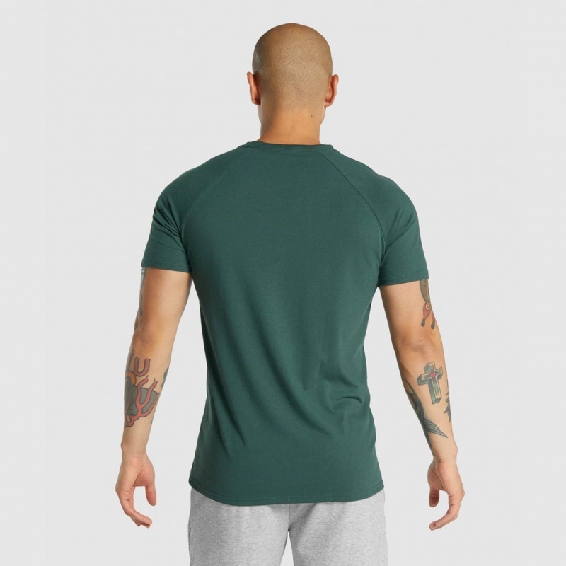 Camiseta Gymshark Critical 2.0 Verde Oscuro | 42AGSNPDU