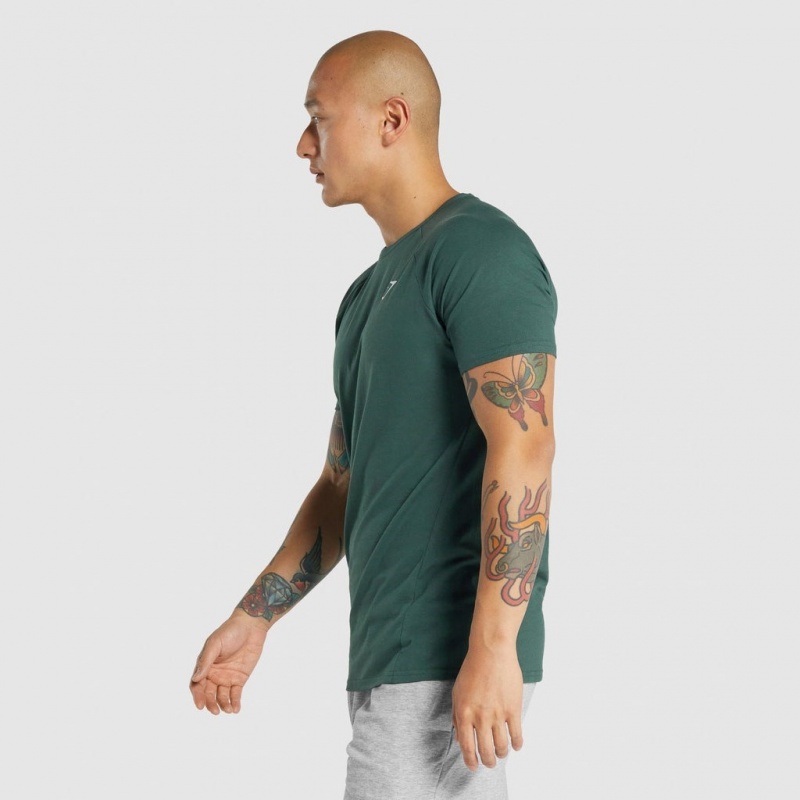 Camiseta Gymshark Critical 2.0 Verde Oscuro | 42AGSNPDU