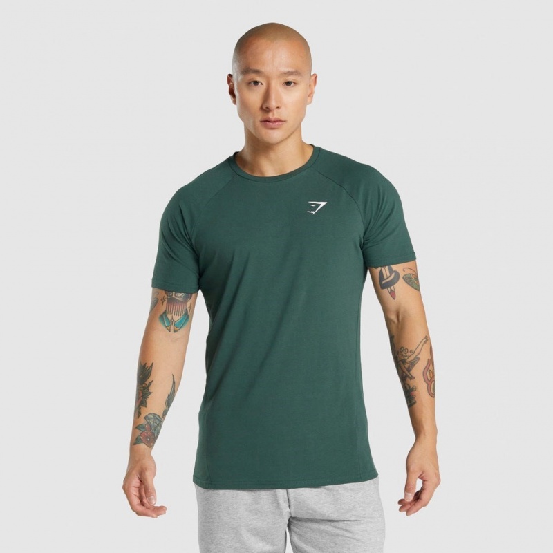Camiseta Gymshark Critical 2.0 Verde Oscuro | 42AGSNPDU
