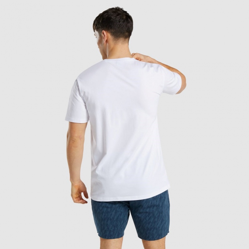 Camiseta Gymshark Critical Regular Fit Blancas | 60BGUCVRM