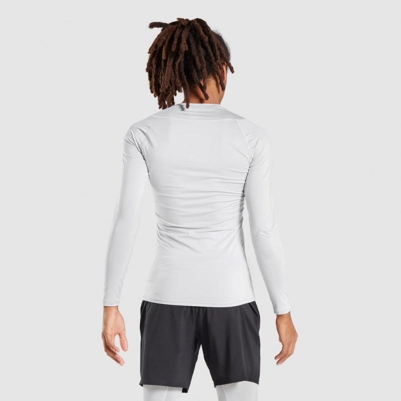 Camiseta Gymshark Element Baselayer Long Sleeve Gris Claro | 63HQFZUBV