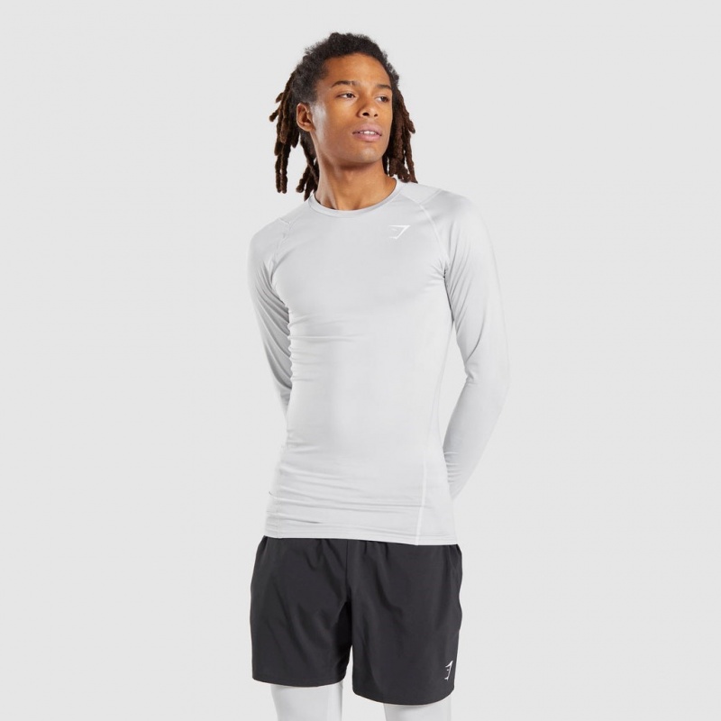 Camiseta Gymshark Element Baselayer Long Sleeve Gris Claro | 63HQFZUBV