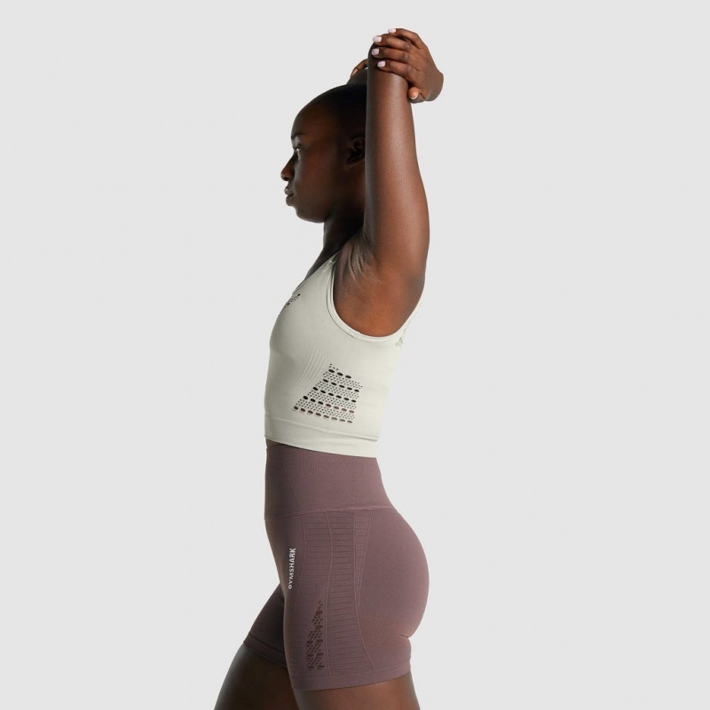 Camiseta Gymshark Energy Seamless Crop Gris Claro | 74FRSWHIC