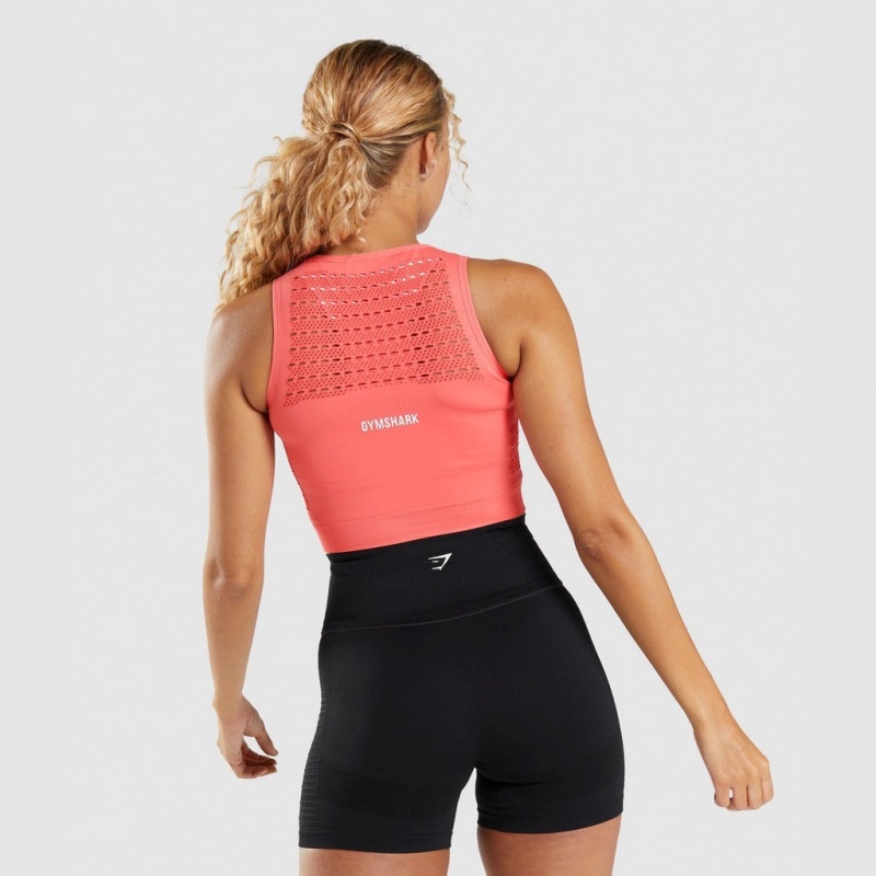 Camiseta Gymshark Energy Seamless Crop Rosas | 54PVHQTOE