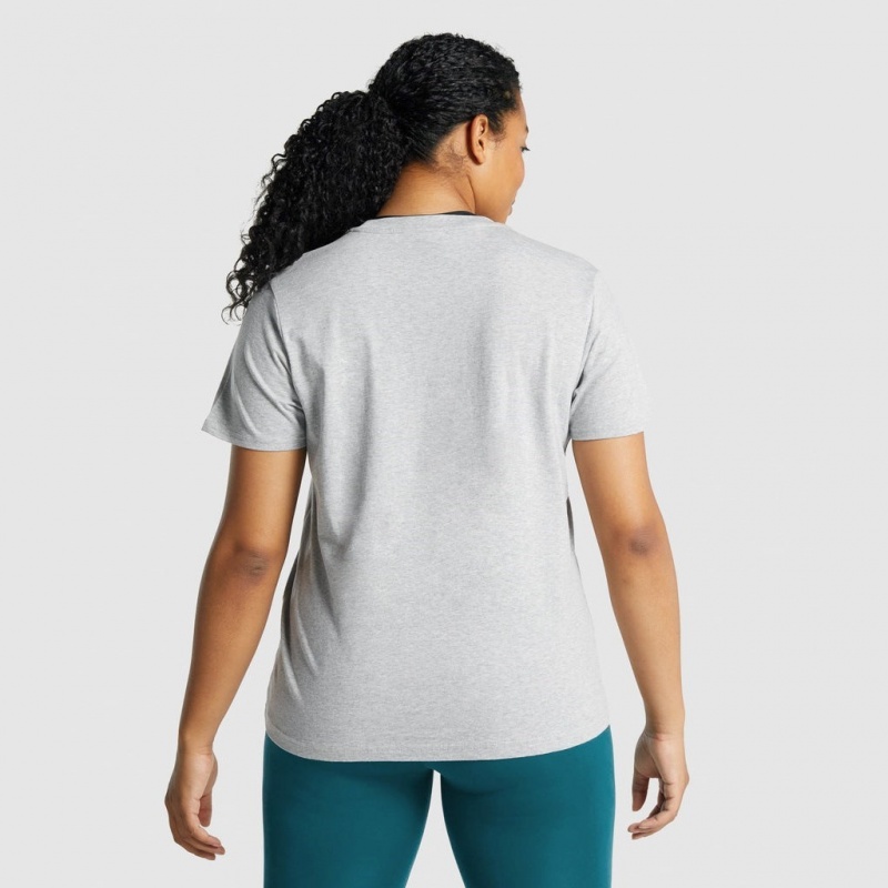 Camiseta Gymshark Entrenamiento Basic Tee Gris Claro | 42UJOAWVT