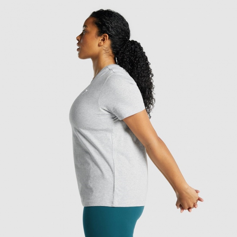 Camiseta Gymshark Entrenamiento Basic Tee Gris Claro | 42UJOAWVT