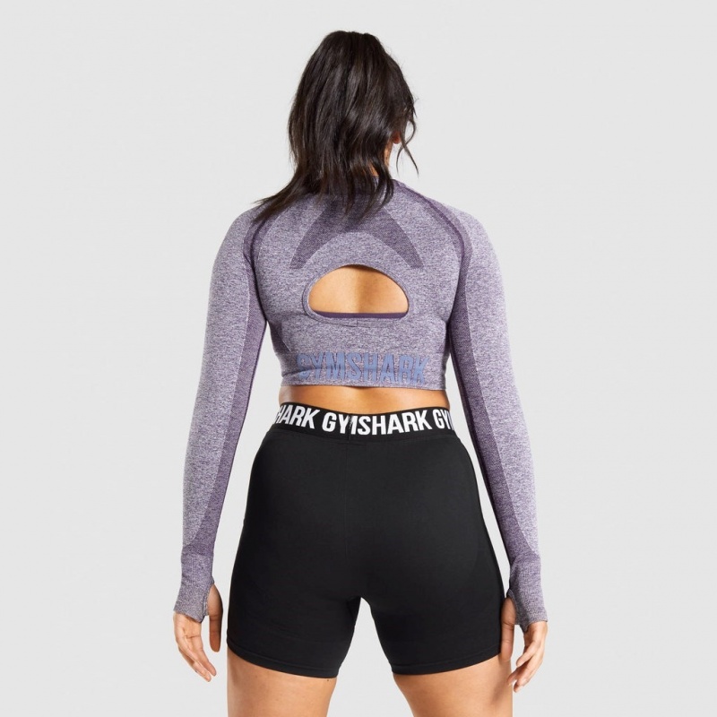 Camiseta Gymshark Flex Sports Long Sleeve Crop Moradas | 82IWNHLFB