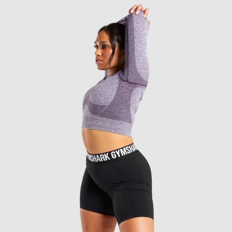 Camiseta Gymshark Flex Sports Long Sleeve Crop Moradas | 82IWNHLFB
