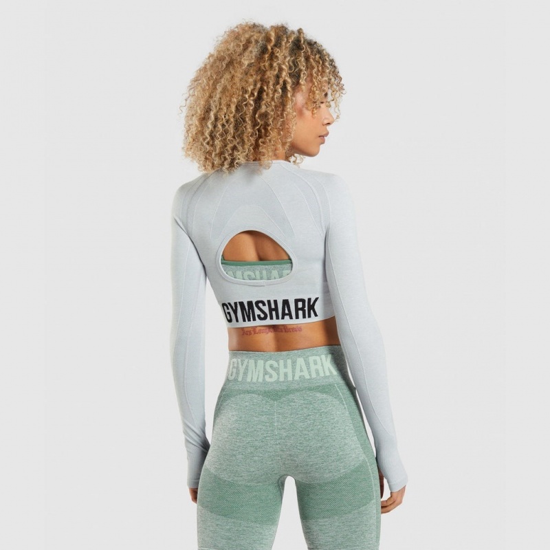 Camiseta Gymshark Flex Sports Long Sleeve Crop Gris Claro | 52ACSLKVX