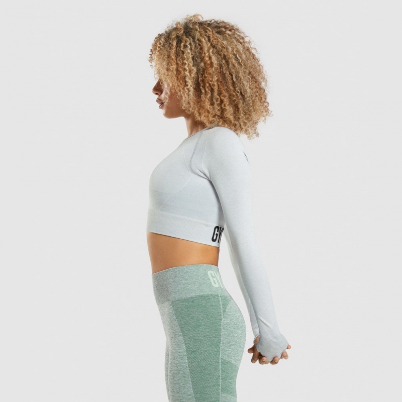 Camiseta Gymshark Flex Sports Long Sleeve Crop Gris Claro | 52ACSLKVX