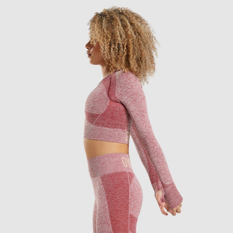 Camiseta Gymshark Flex Sports Long Sleeve Crop Burdeos | 26SDKIFHV