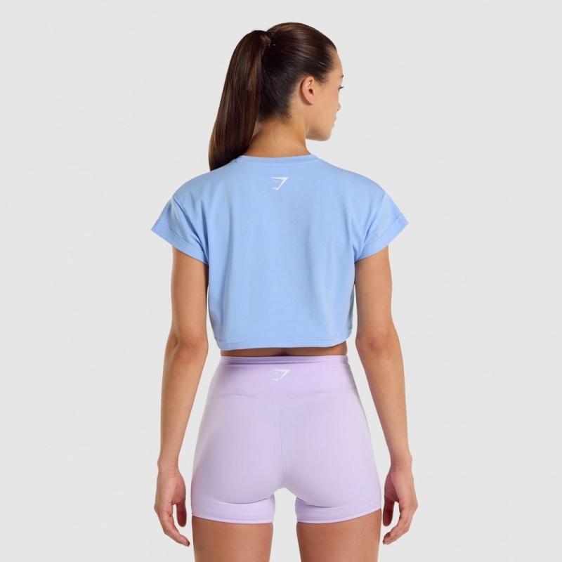 Camiseta Gymshark Fraction Crop Azules Claro | 49ZTFNOJM